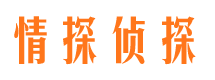 大关市侦探公司